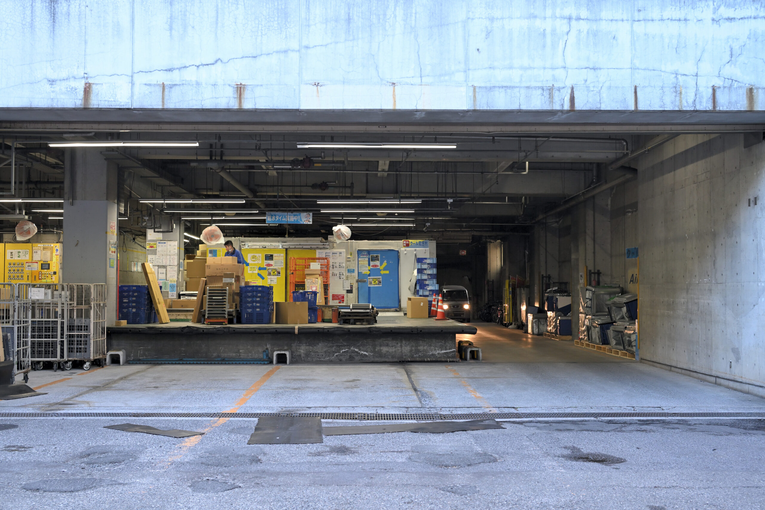 ※写真は無加工